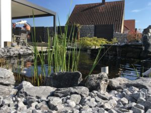 brise vue composite avec gabion